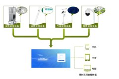 在番石榴的種植中，農業四情監測系統有何作用？